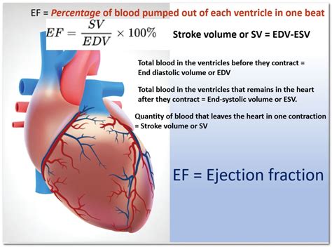 ef hjerte|Ejection Fraction: What It Is, Types and Normal Range